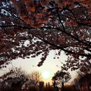 日本国产欧美大码A视频
